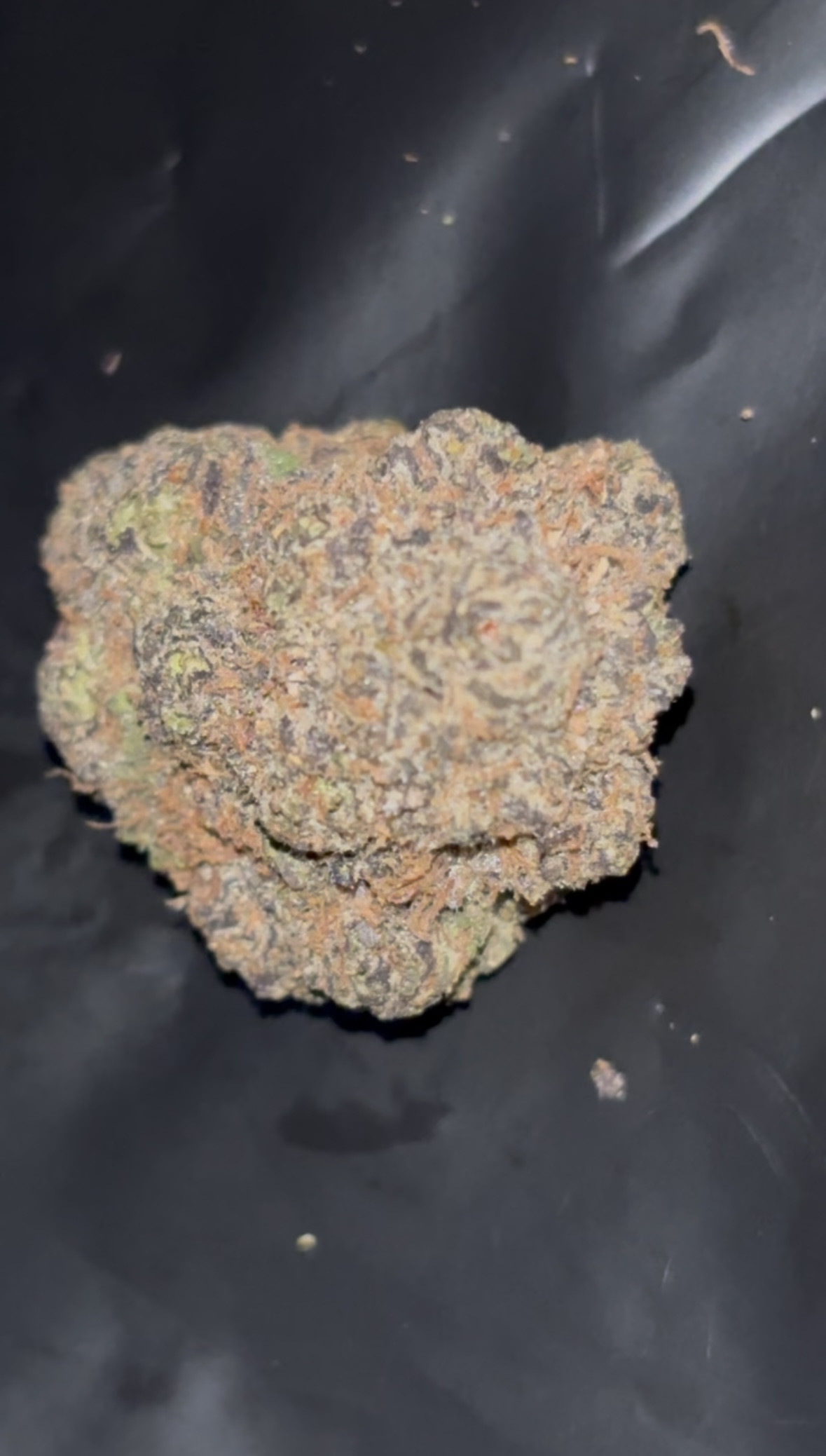 Lemon Cherry Gelato