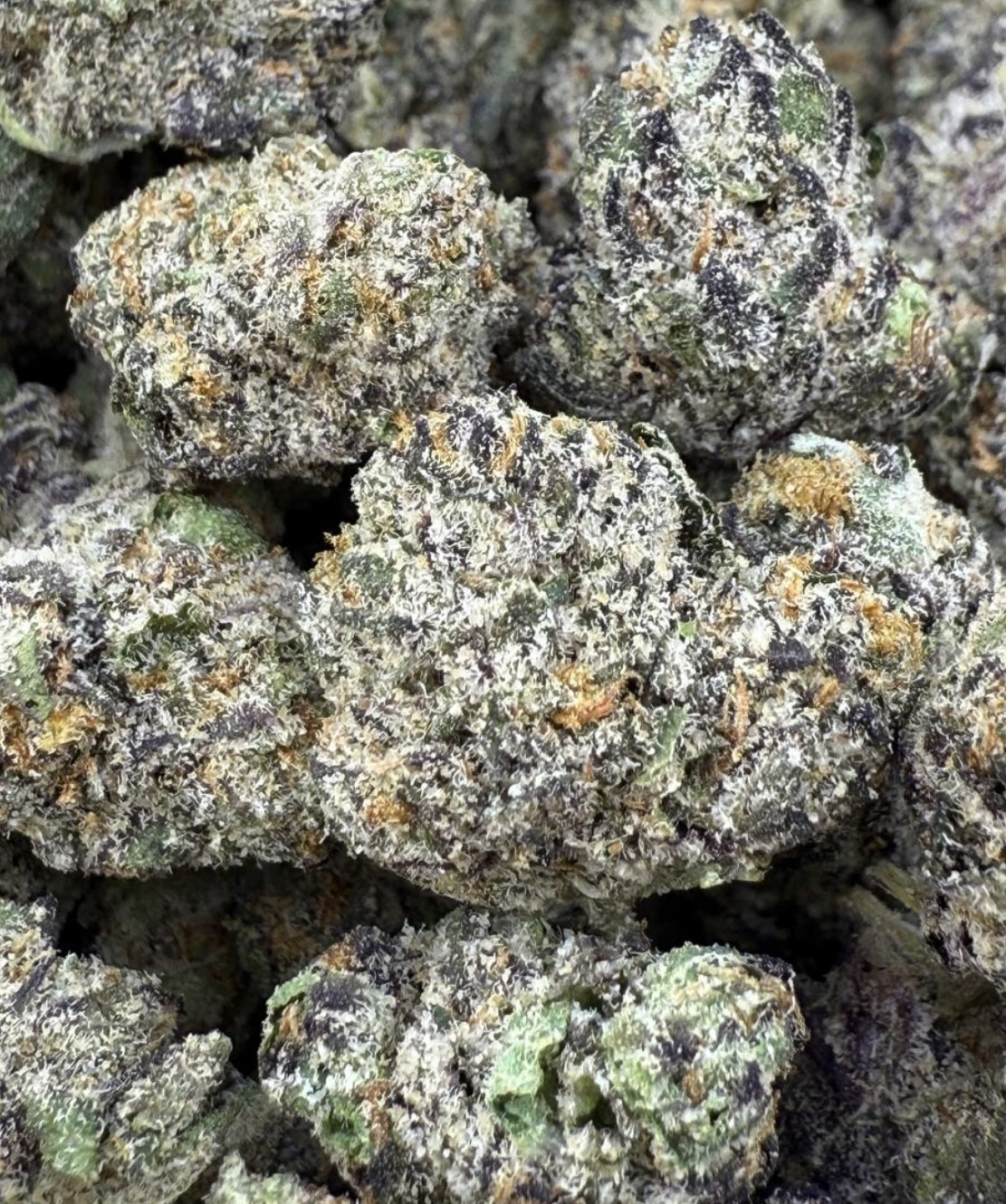 Metro Boomin Gelato smalls