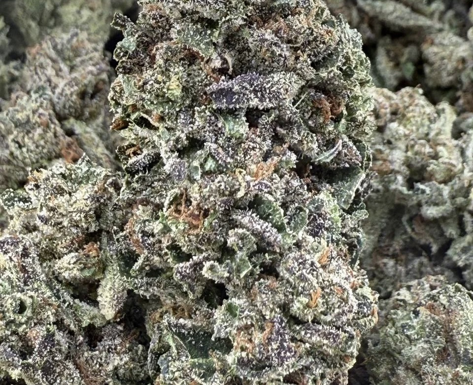 All Gas Og (3 day ship)