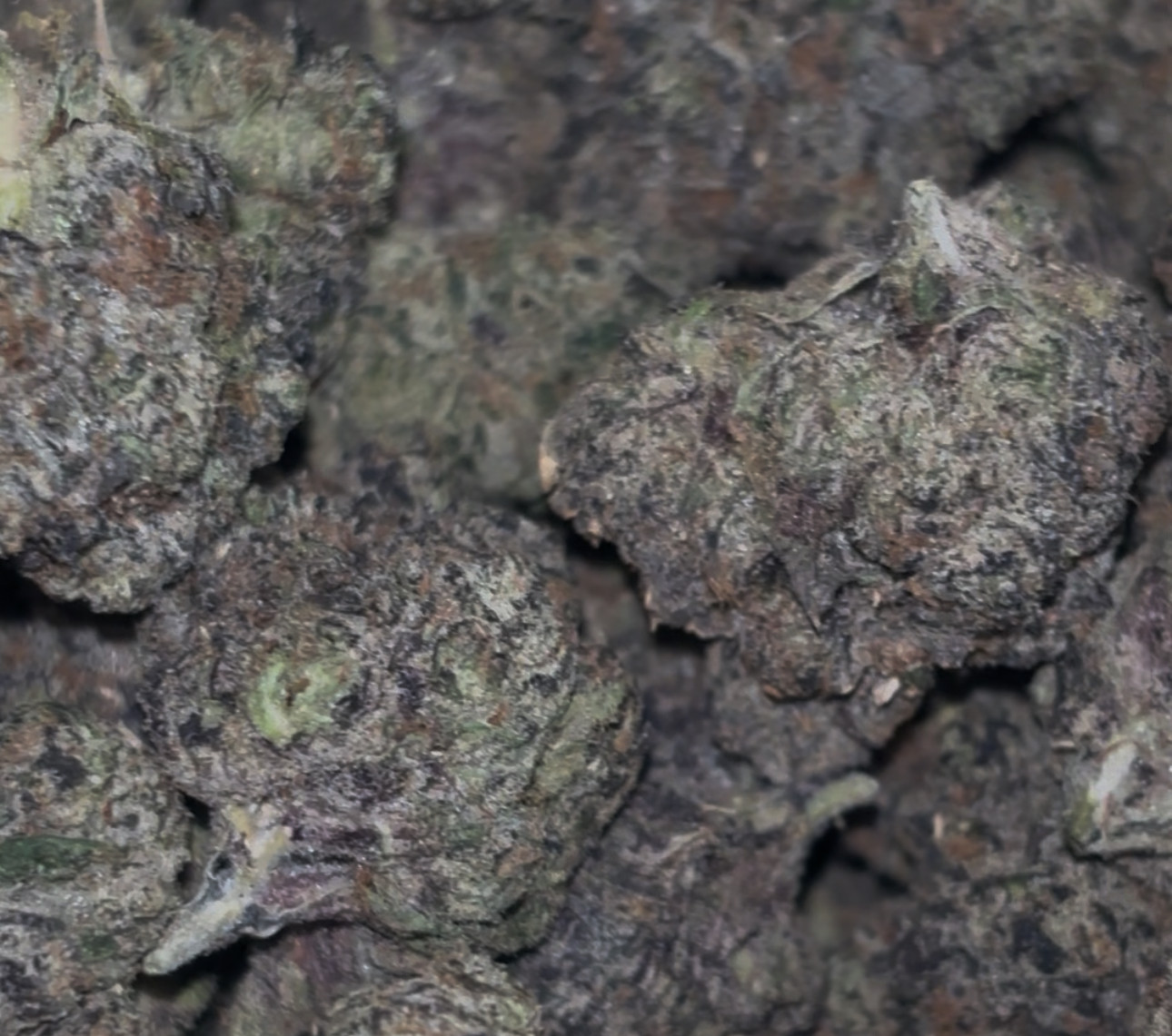 Skittles & Lcg 🍬🌈