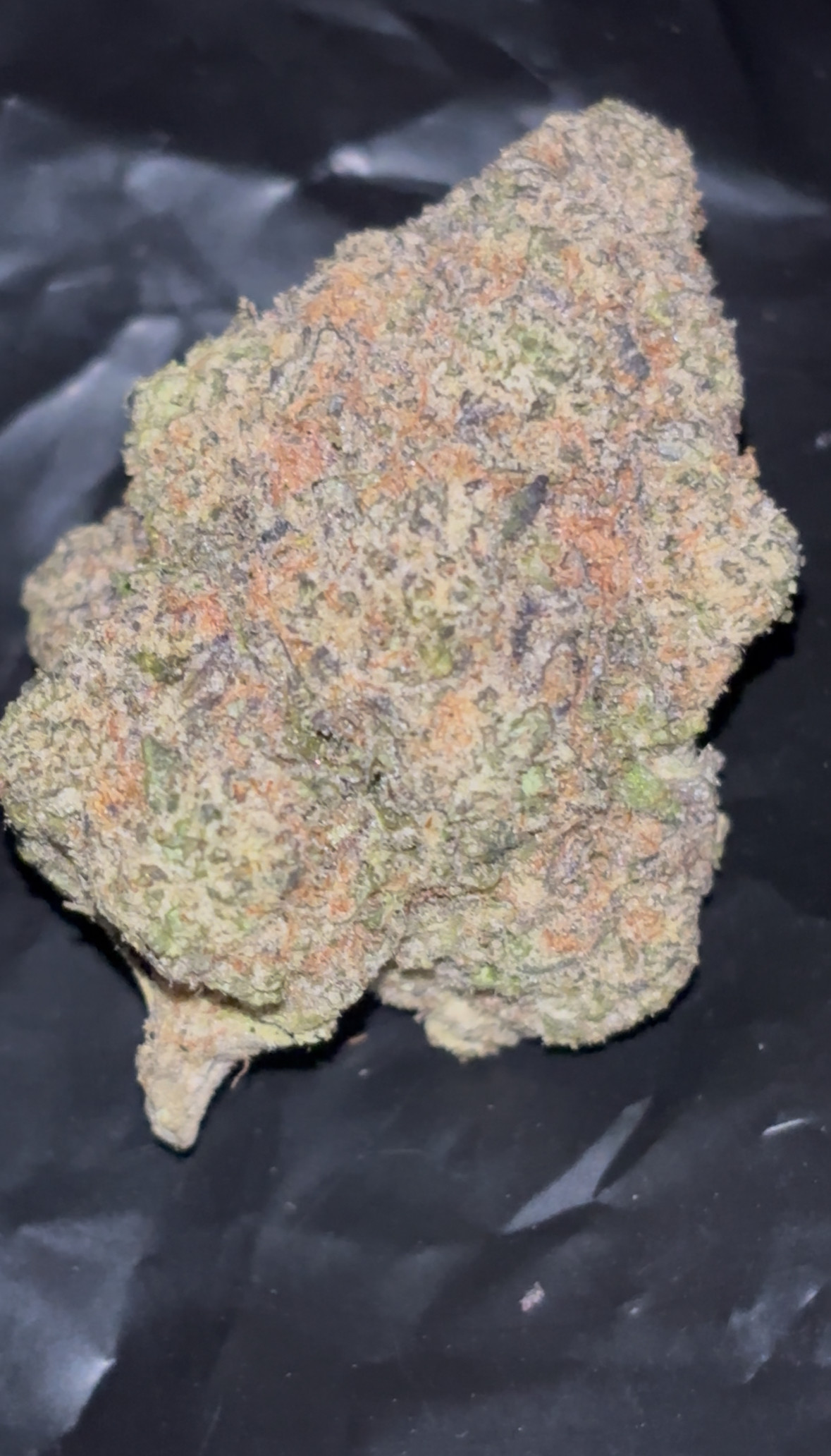 Blue Cheese