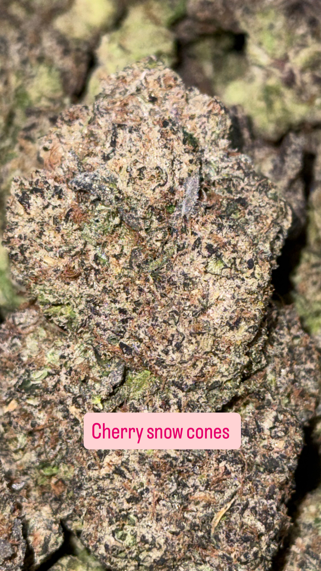 Cherry snow cone