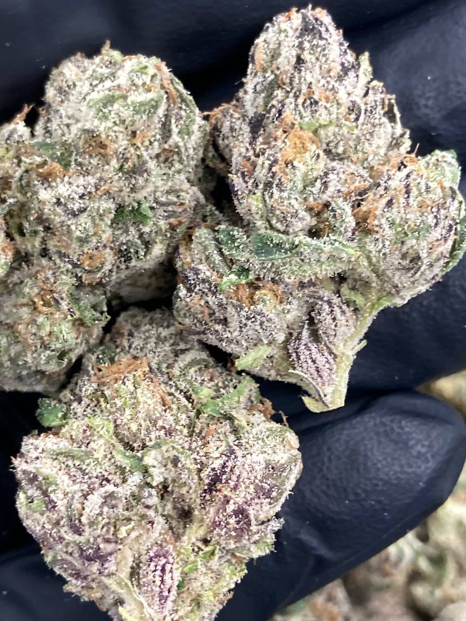 Super runtz🍭🍒🍪