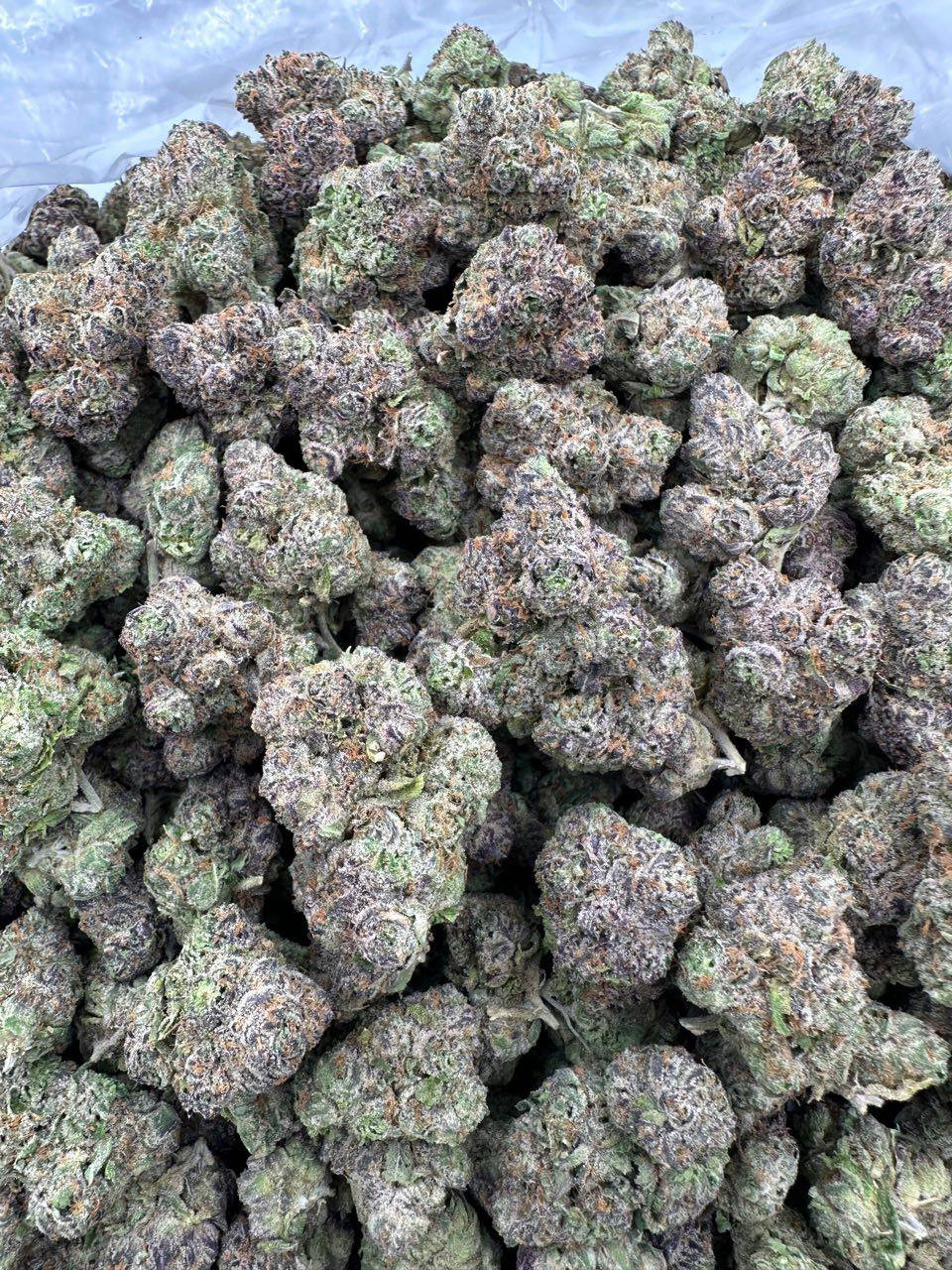 Lemon Nerds 🍒🍋🍭