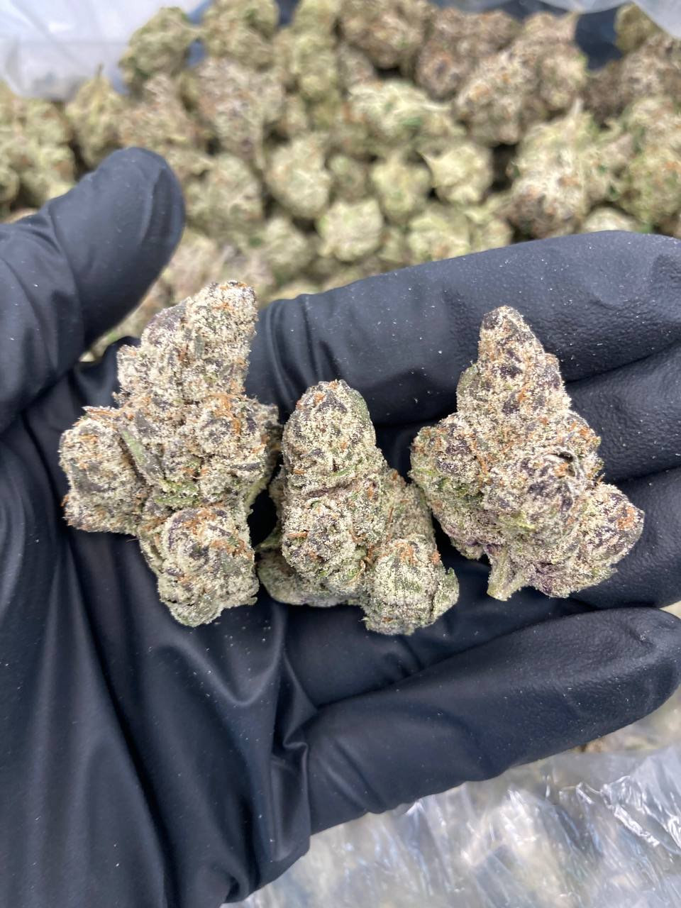 Rainbow Belts🌈🍭