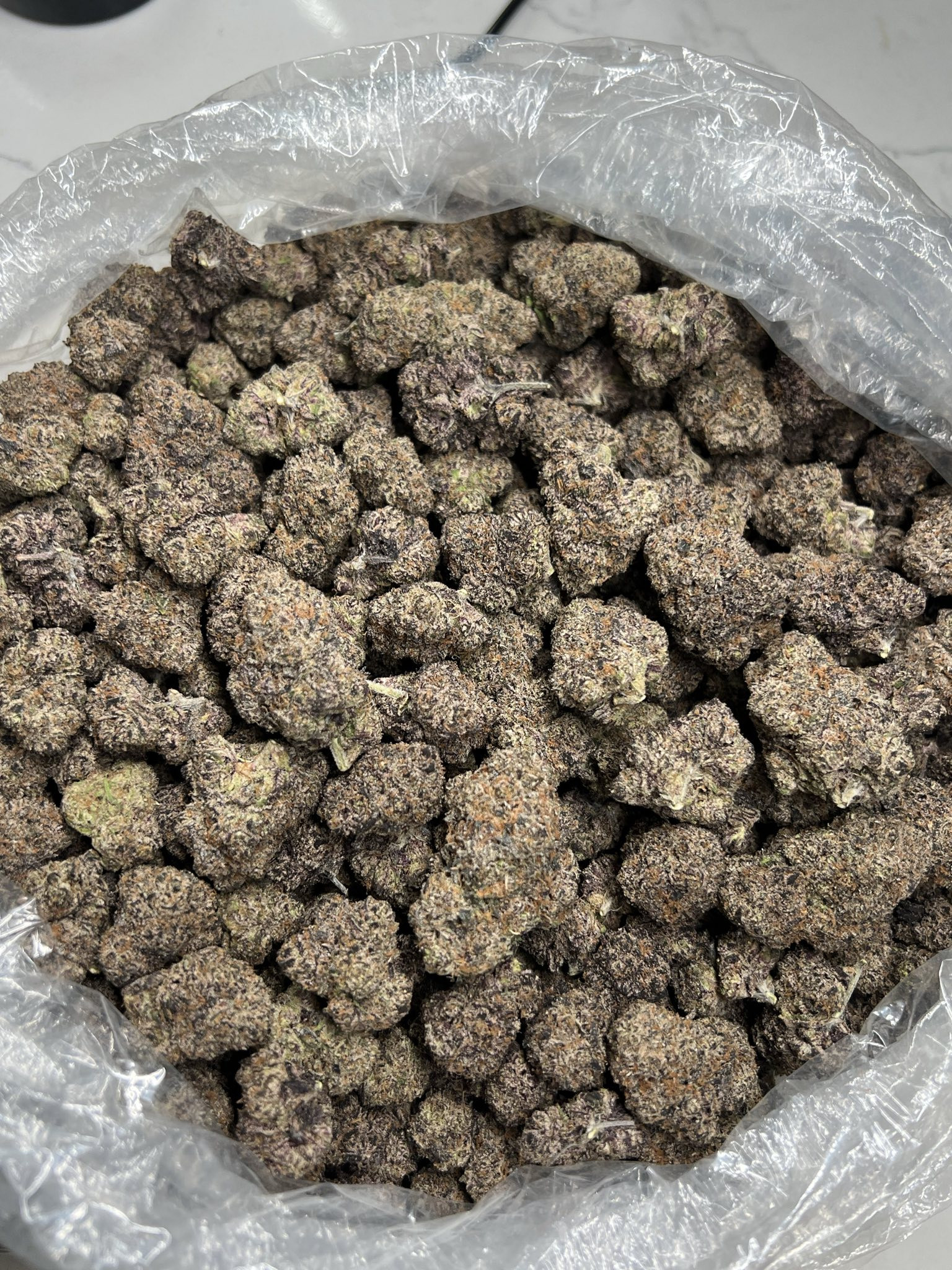 Purple Gummy Bear🧸🍬