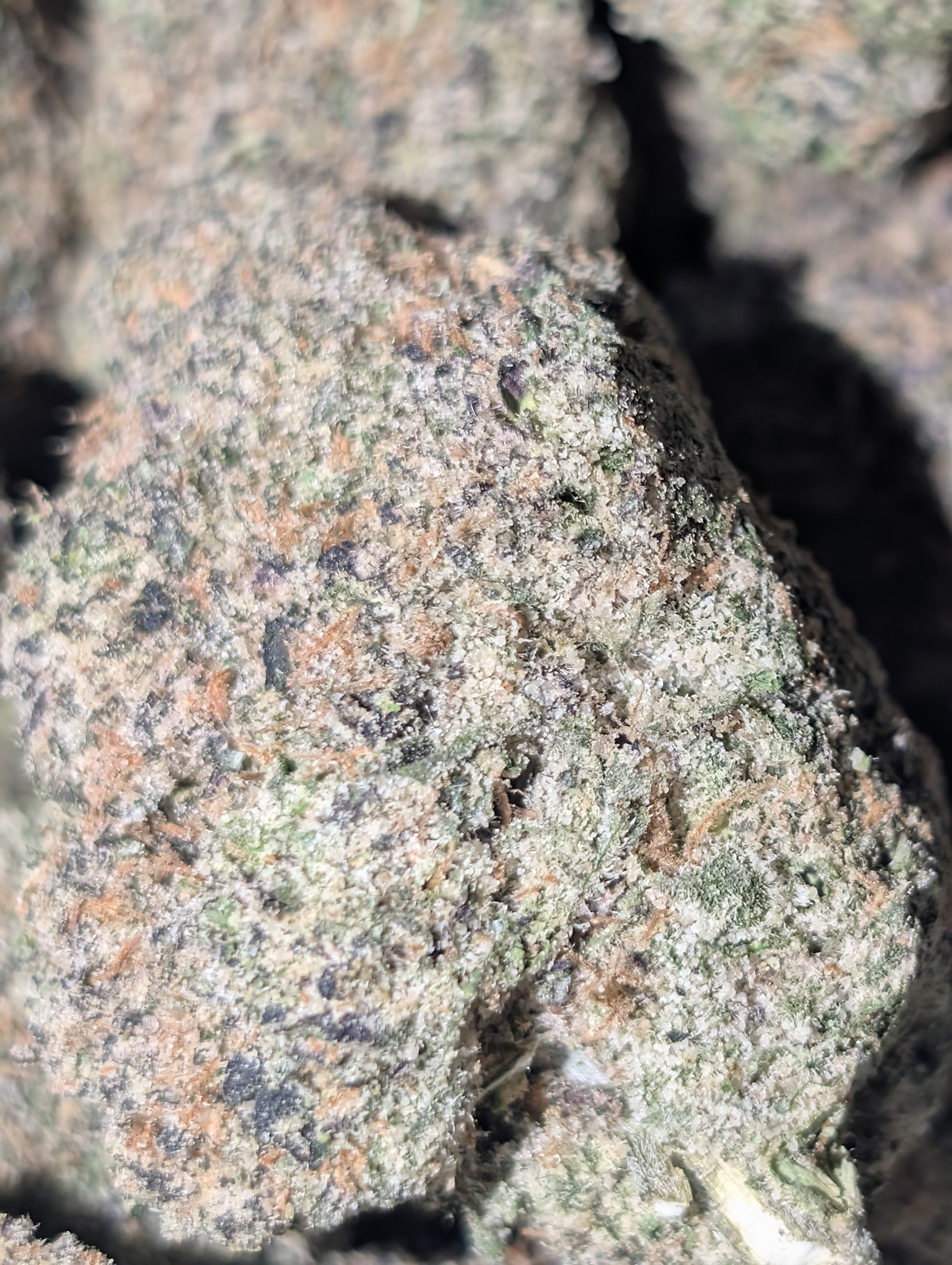 Frost bite 🥶❄️