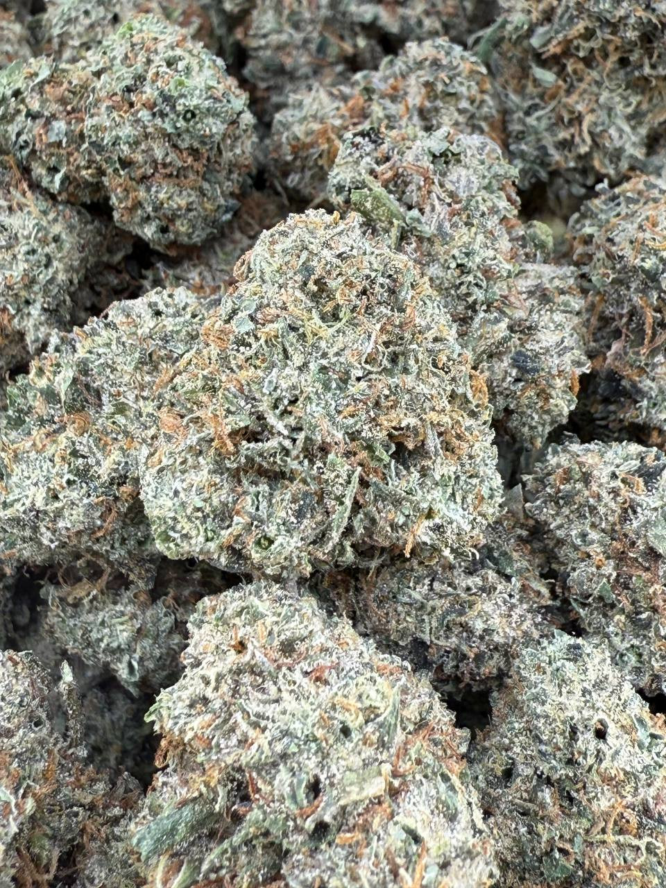 Blue Zlushie Mediums 😈