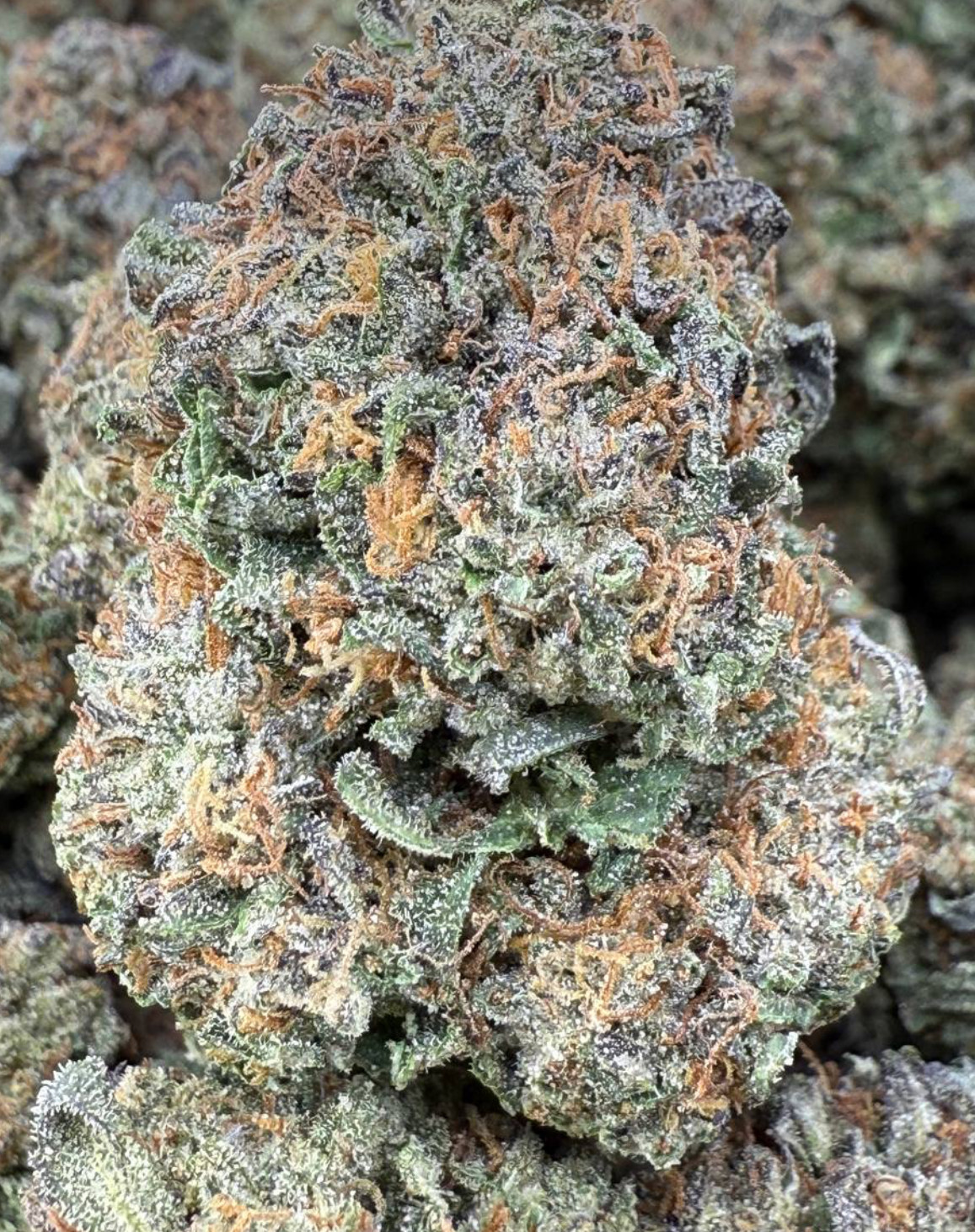 Wedding Cake 🎂🍰