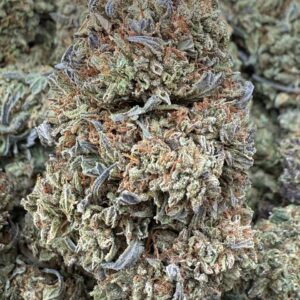 Oreo Blitz 🍪 (Gassy/Earthy Nose)