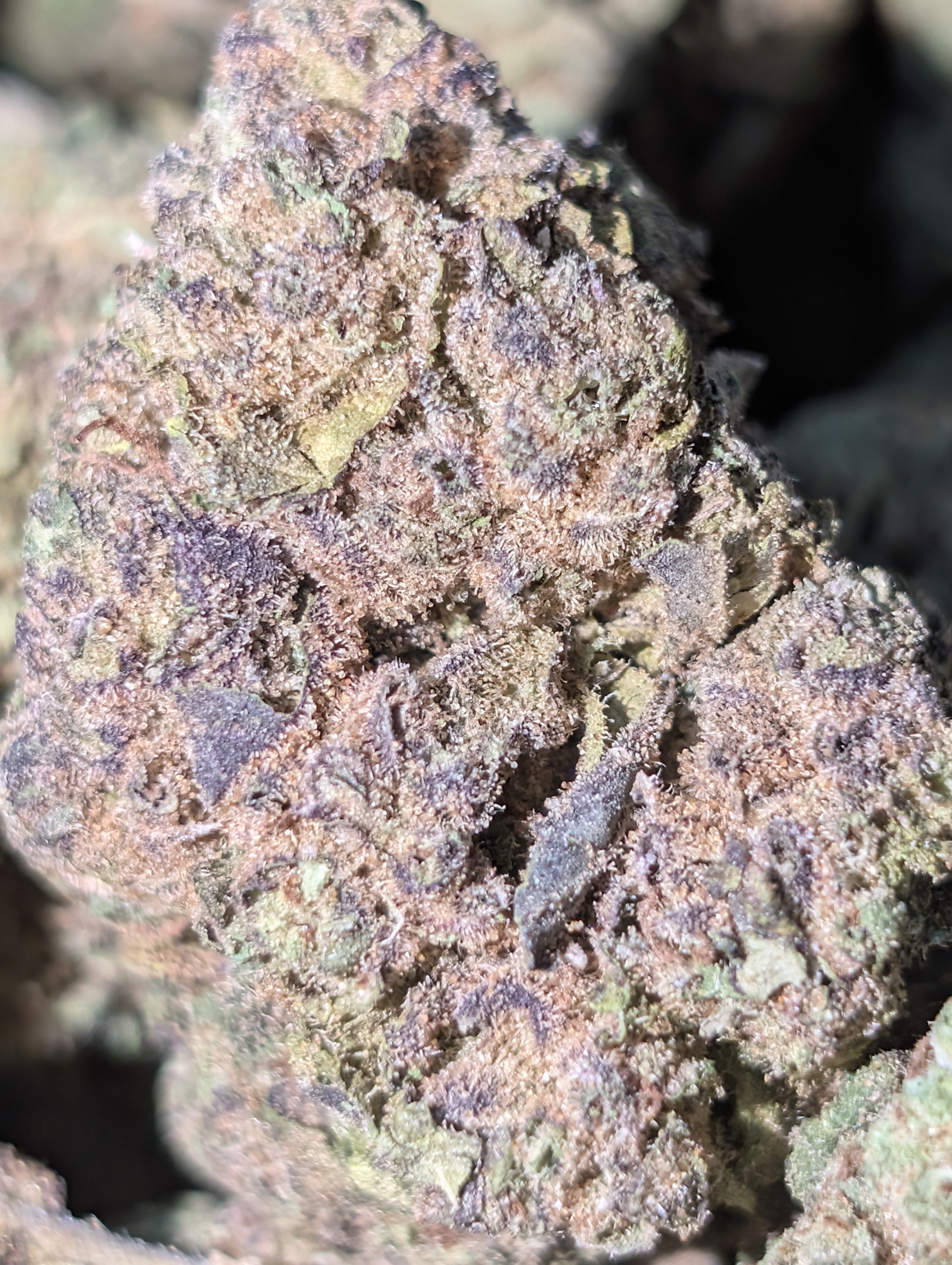 Pineapple Express  🍍