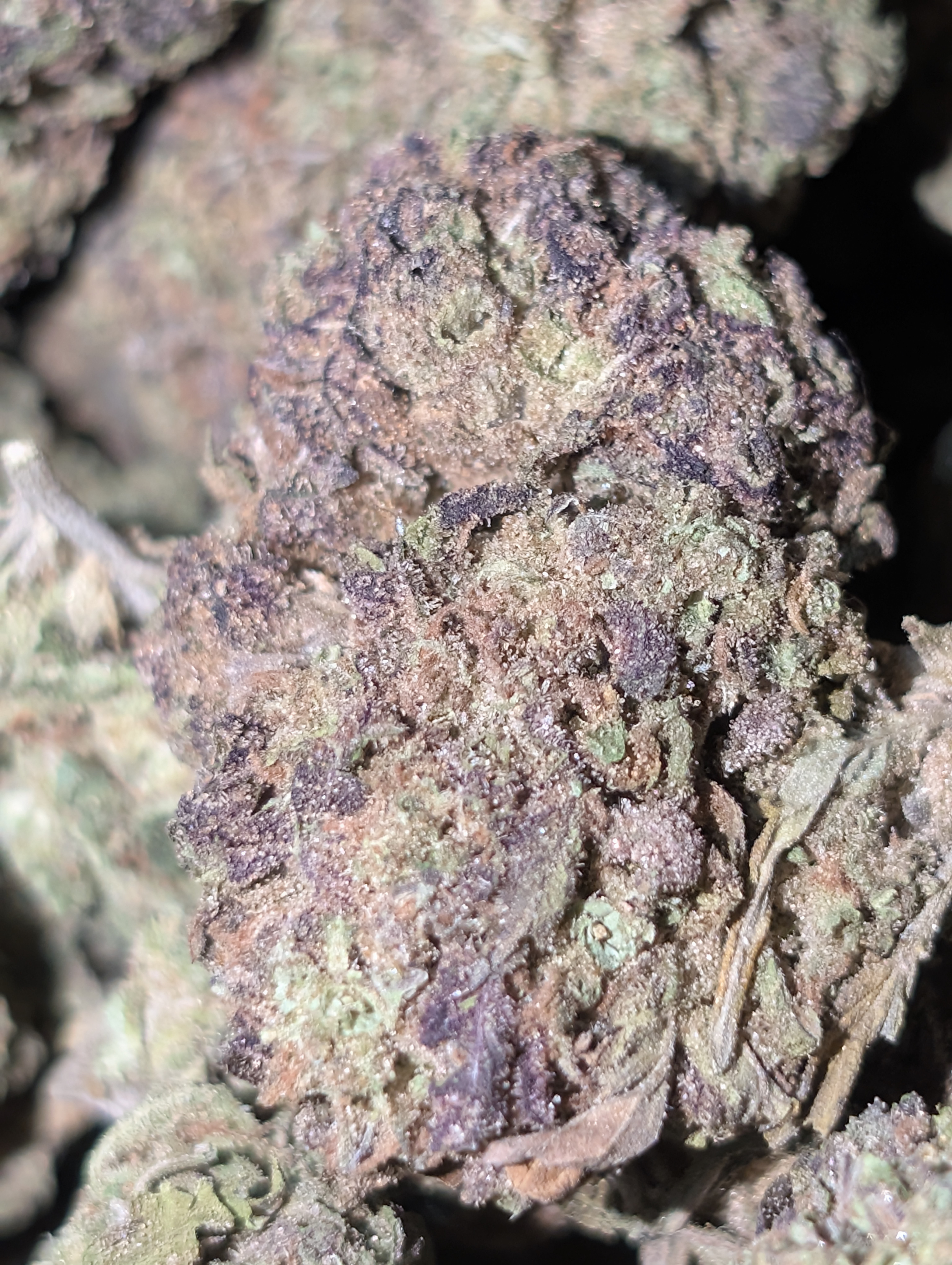 Dragon 🐲 breath 🫁