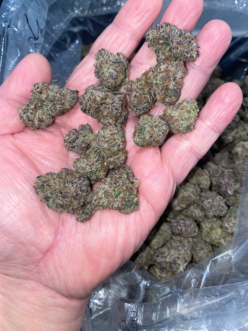 ADL Nerds 🔴⚫️🔵