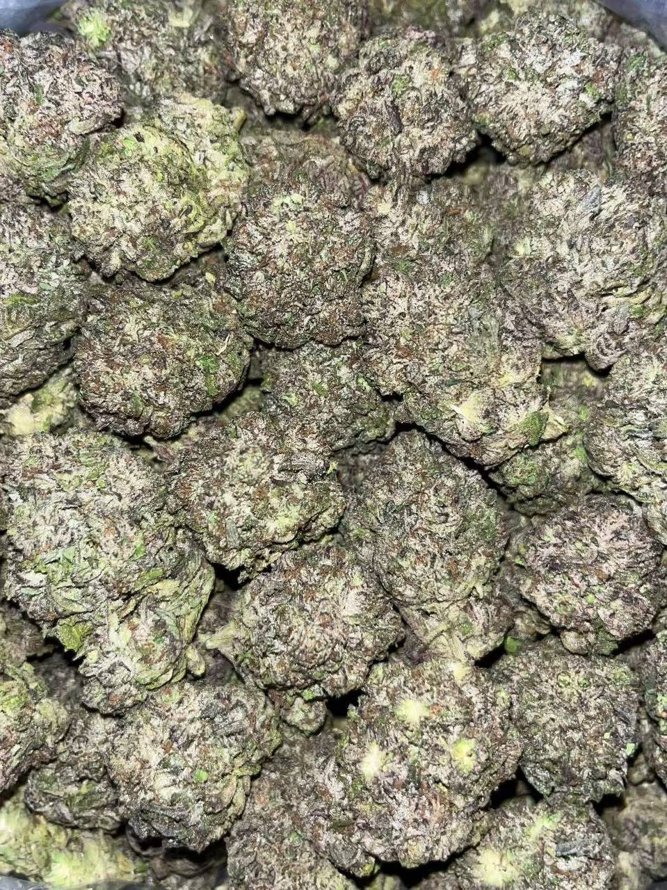 Permanent Marker 🔴