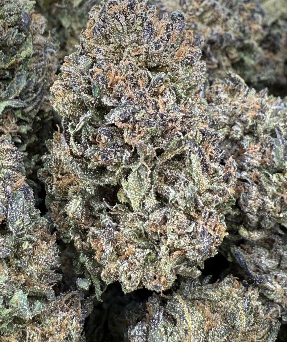 Animal Runtz (3 day shipping) 🐾