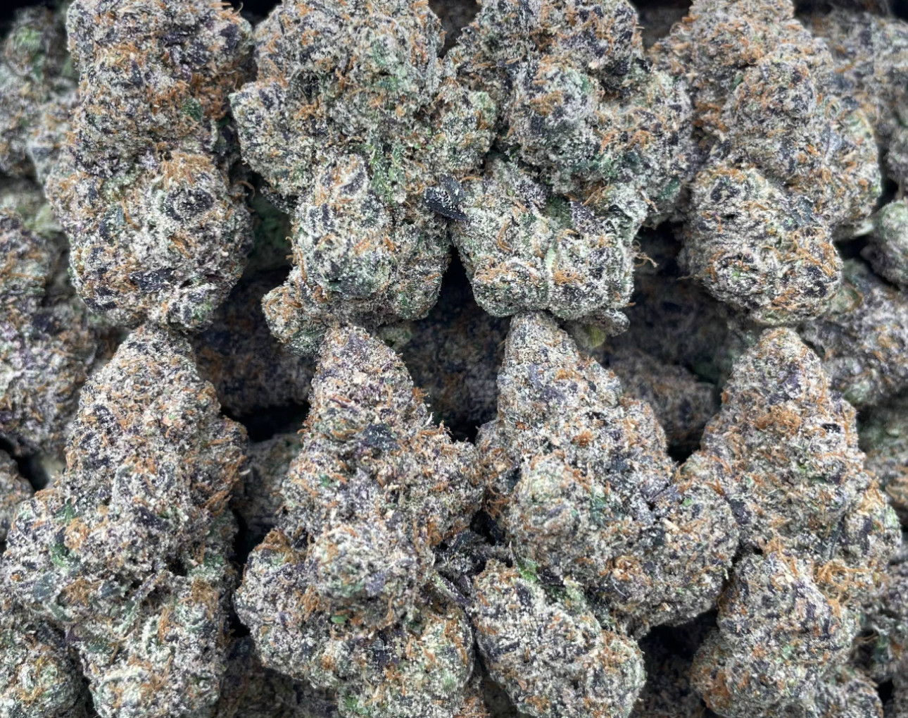 Rainbow Sour Patch 🌈