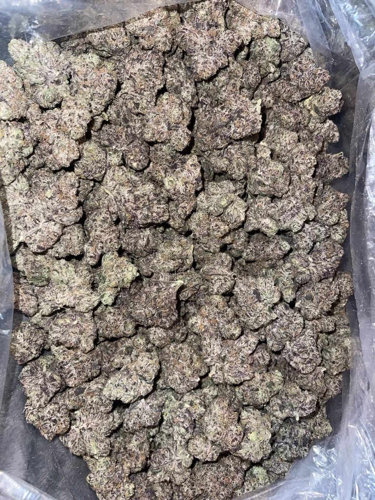 Blue Gelato 🔷🍭🔷🍭