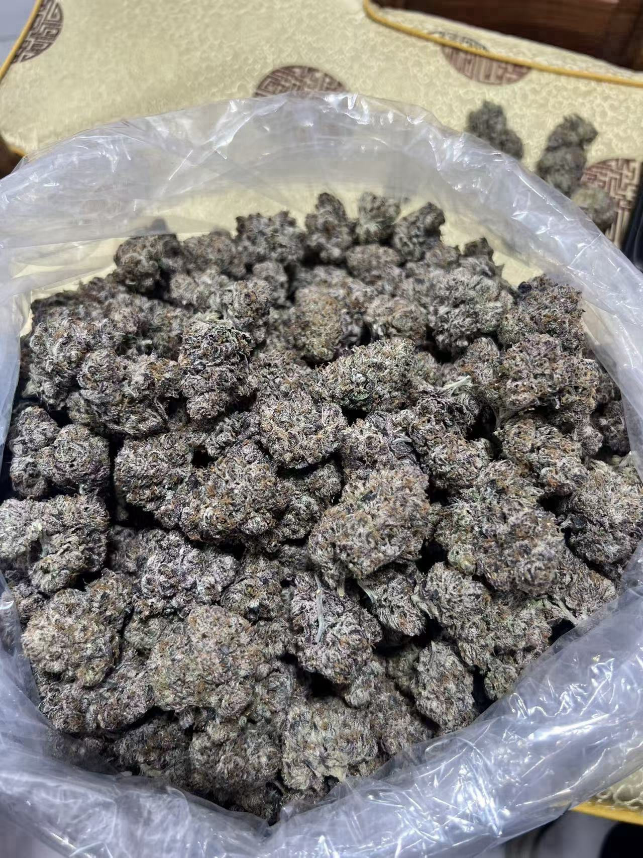 Candy Gas ⛽️🍭⛽️🍭⛽️🍭