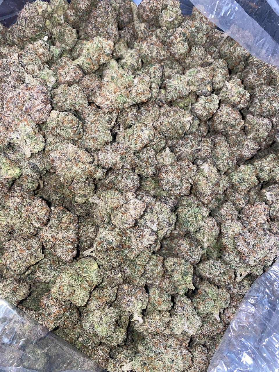 Pink Nerds 🍬⚪️🍬⚪️🍬⚪️🍬⚪️🍬