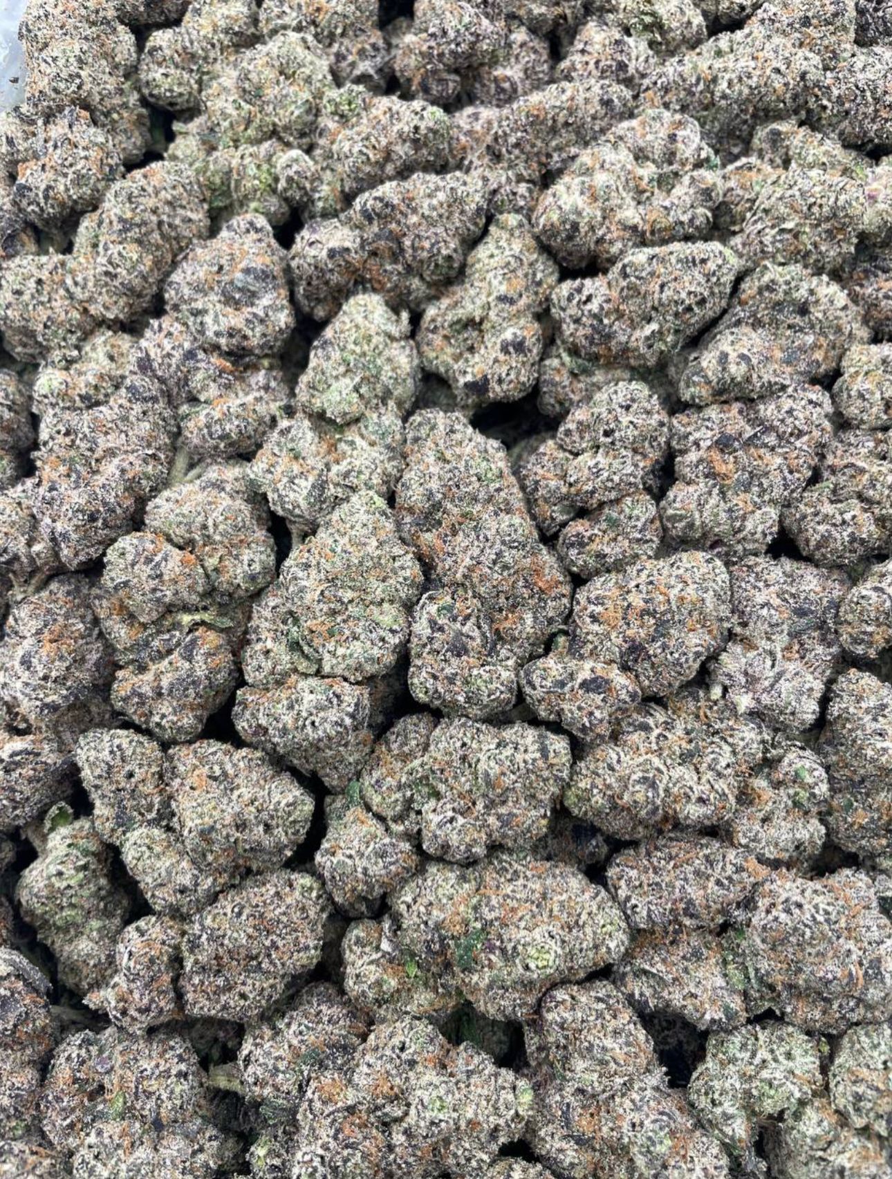 Bubble Blast 🫦🍬🫦🍬🫧🍬🫧