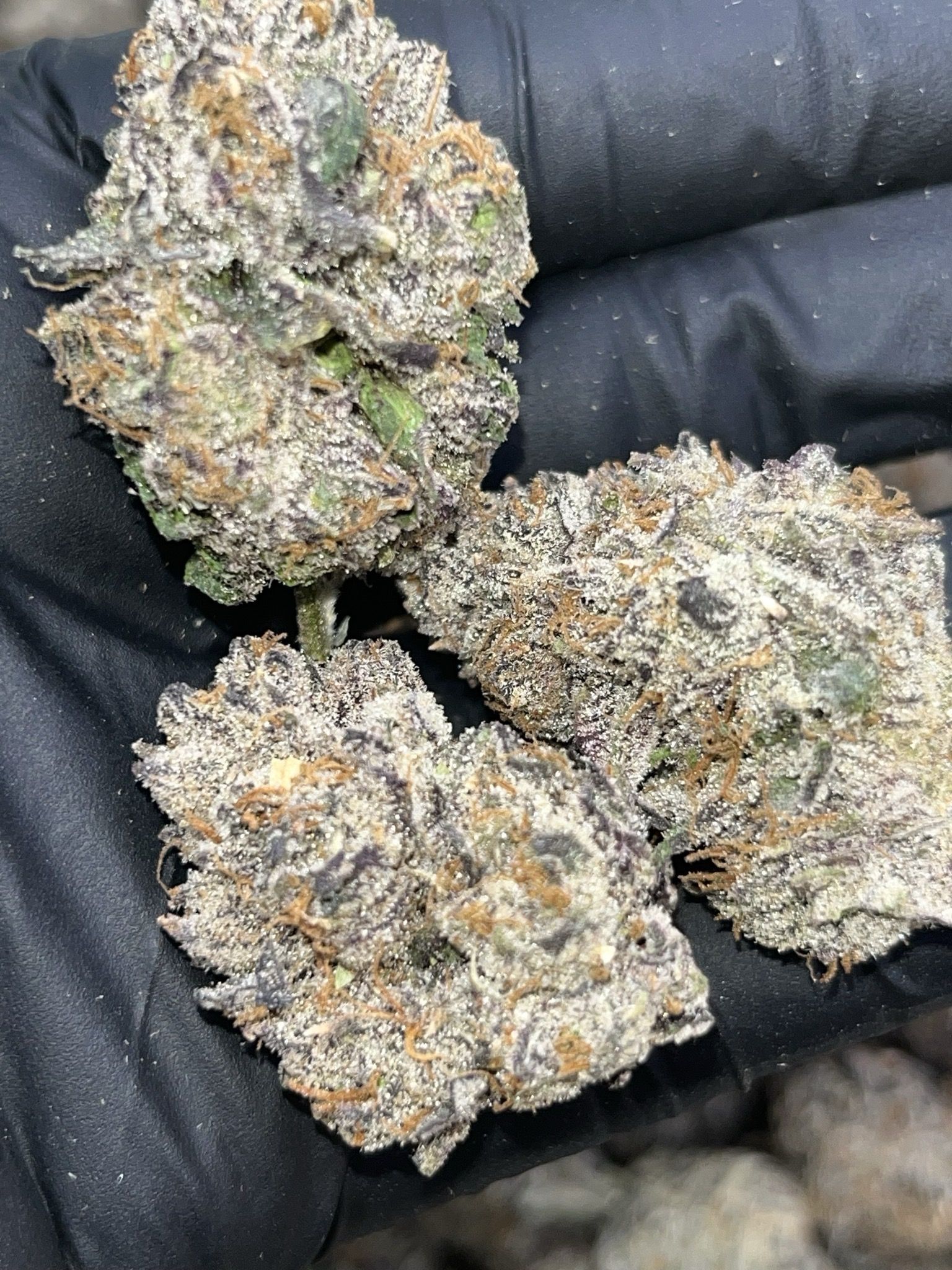 Blue Nerds 🥶🍭🥶🍭🥶🍭