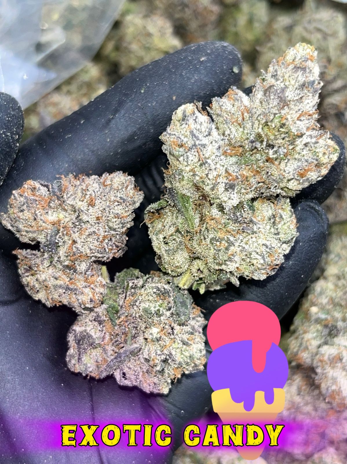 Exotic Candy 🍭